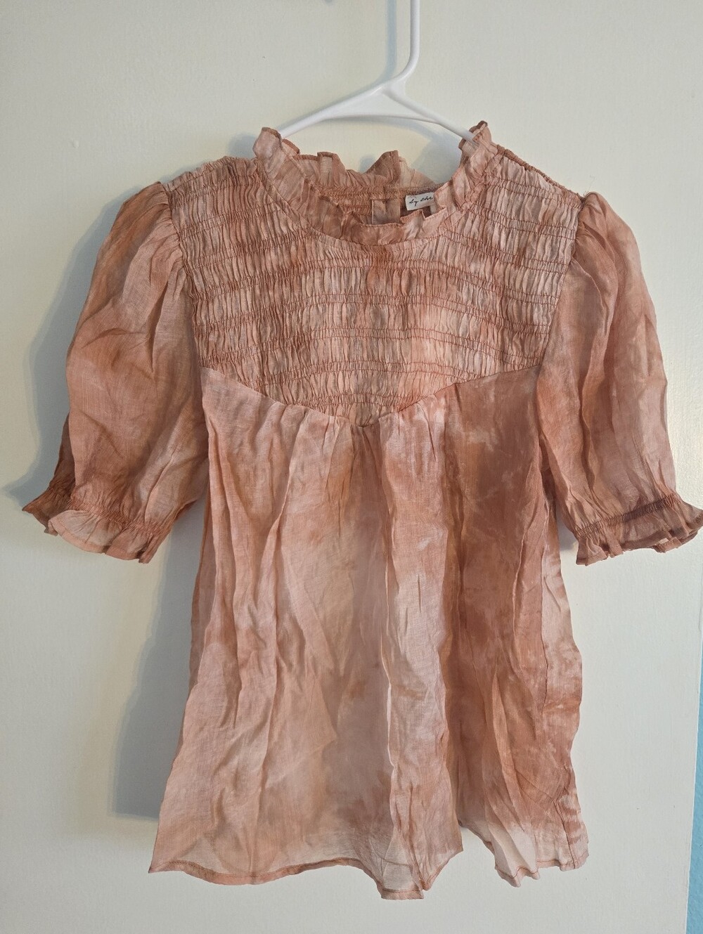 By The River Smocked Sheer Pink Puff-Sleeve Top S